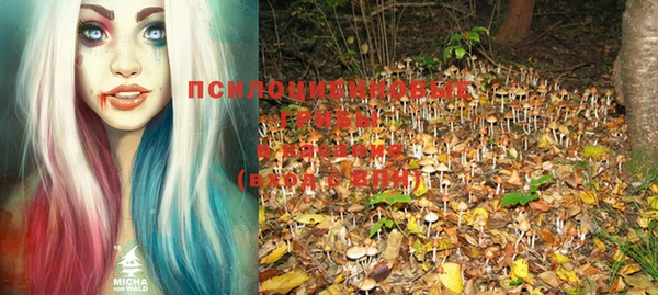 дмт Приозерск