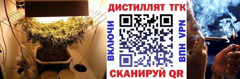 Купить закладки  Ковылкино  Дистиллят ТГК THC oil 