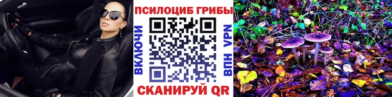 Купить  Ковылкино  Псилоцибиновые грибы GOLDEN TEACHER 